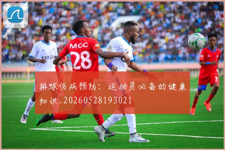 排球伤病预防:运动员必备的健康知识_20260528193021