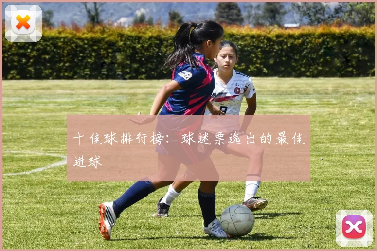 十佳球排行榜：球迷票选出的最佳进球